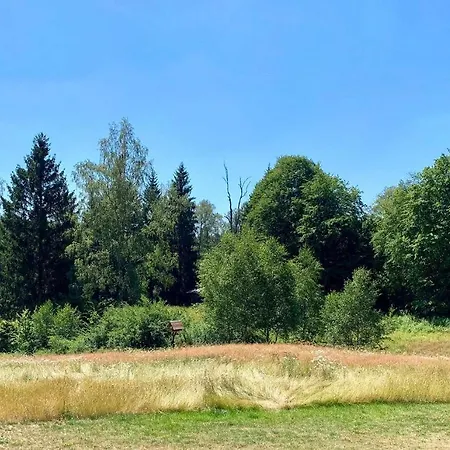 Jagdschloss Windenhuette 3* Тале