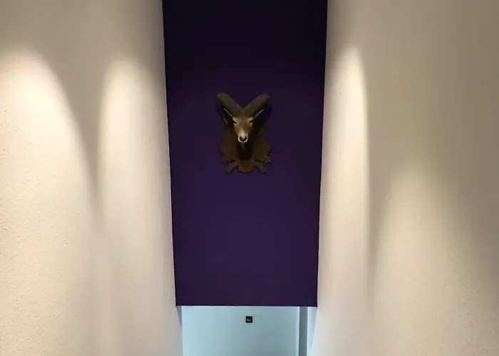 Hotel Jagdschloss Windenhuette